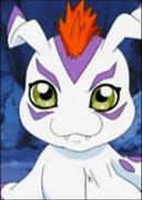 Gomamon