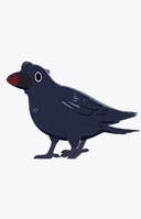 Karasu