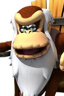 Cranky Kong