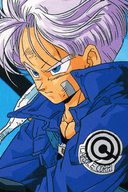 Trunks