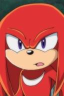 Knuckles The Echidna