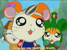 Hamtaro Hai!