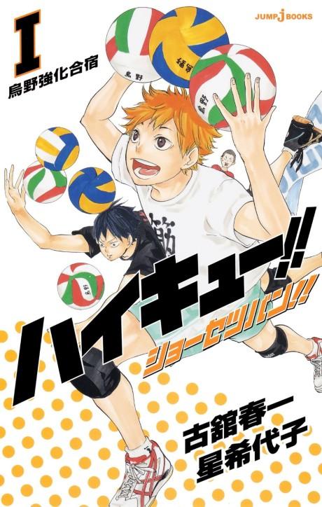 Haikyuu!! Shousetsu-ban!!