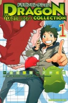 Dragon Collection: Ryuu wo Suberumono